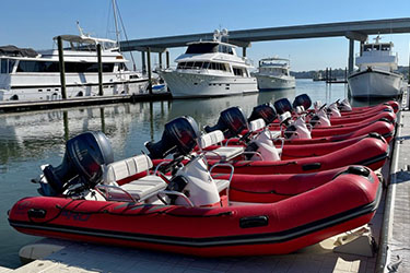 Mini Boat Dolphin Tour