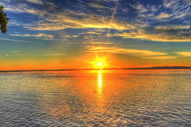 Sunrise Dolphin Tour