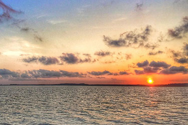 Sunset Creek Cat Tour