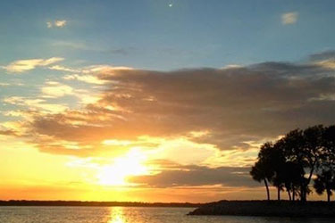 Sunset Dolphin Tour
