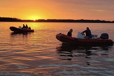 Sunset Mini Boat Dolphin Tour