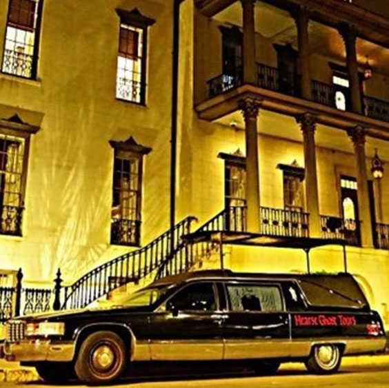 SAVANNAH ACTIVITIES