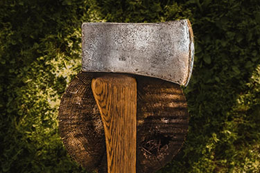 PALMETTO AXES